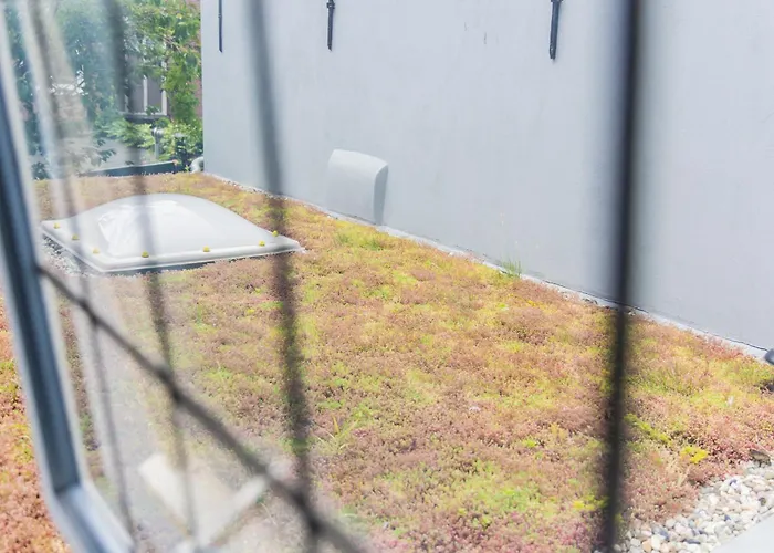 Apartment Haya Historic - Rose *