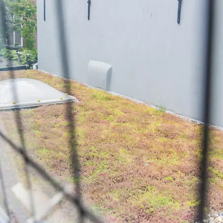 Apartament Haya Historic - Rose *